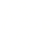 ZH